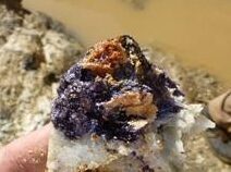 Pedra prcisosa